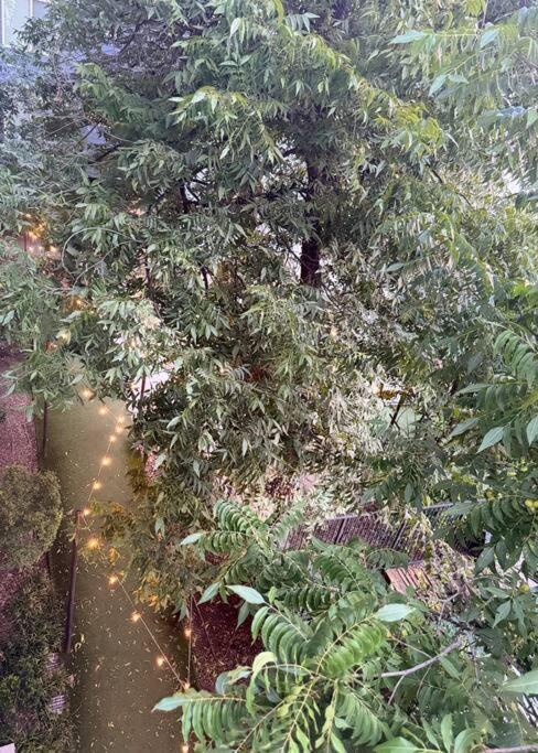 Apartamento Beautiful On Riverwalk King W Free Parking Pet Friendly Centrally Located On The Riverwalk *