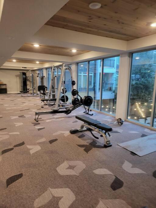Apartment Beautiful On Riverwalk King W Free Parking Pet Friendly Centrally Located On The Riverwalk *